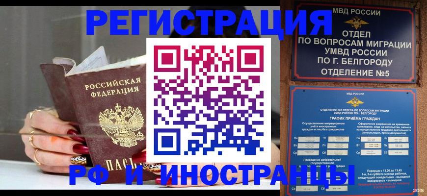 прописка в Михайловске